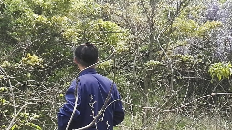 001EFHzpgy712HNa3A62a