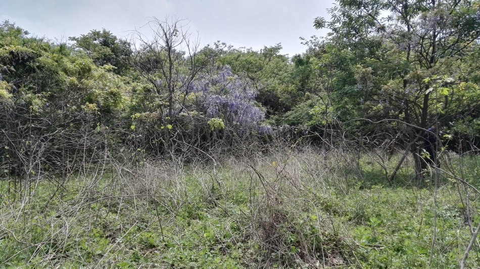 001EFHzpgy712HNQulyc0