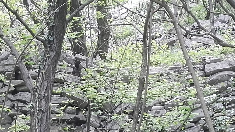 001EFHzpgy712HOQw1gee