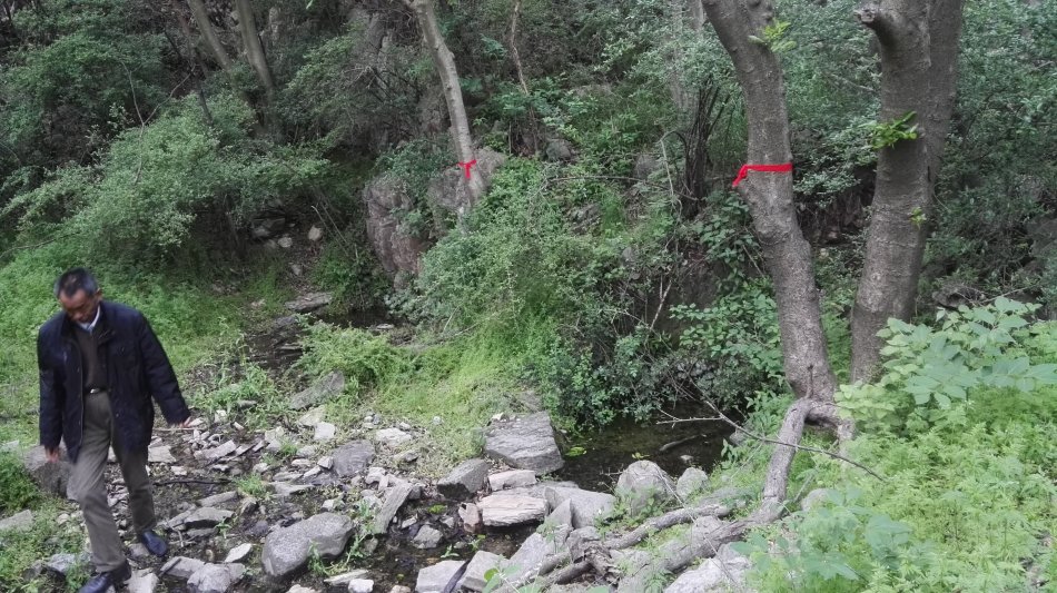 001EFHzpgy712HRivet5d