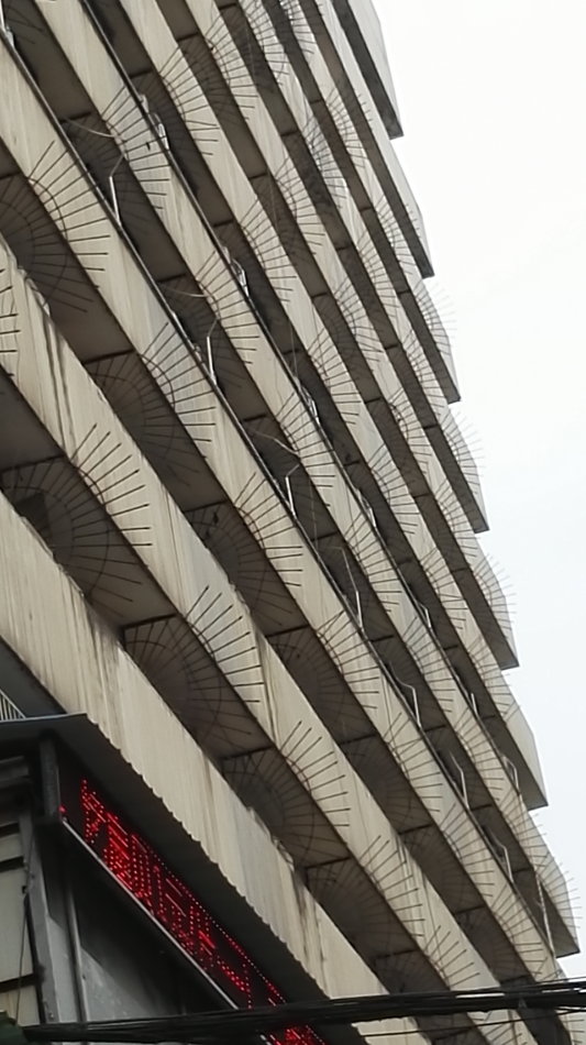 001EFHzpgy72neiiCDvb9