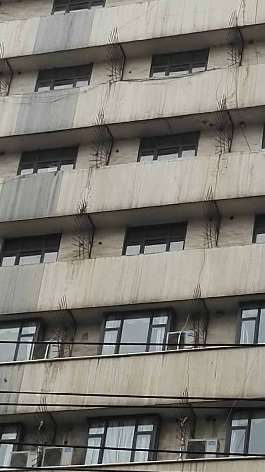 001EFHzpgy72neiywPcf6