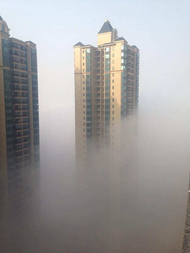 001EFHzpgy72BdTMdk29e