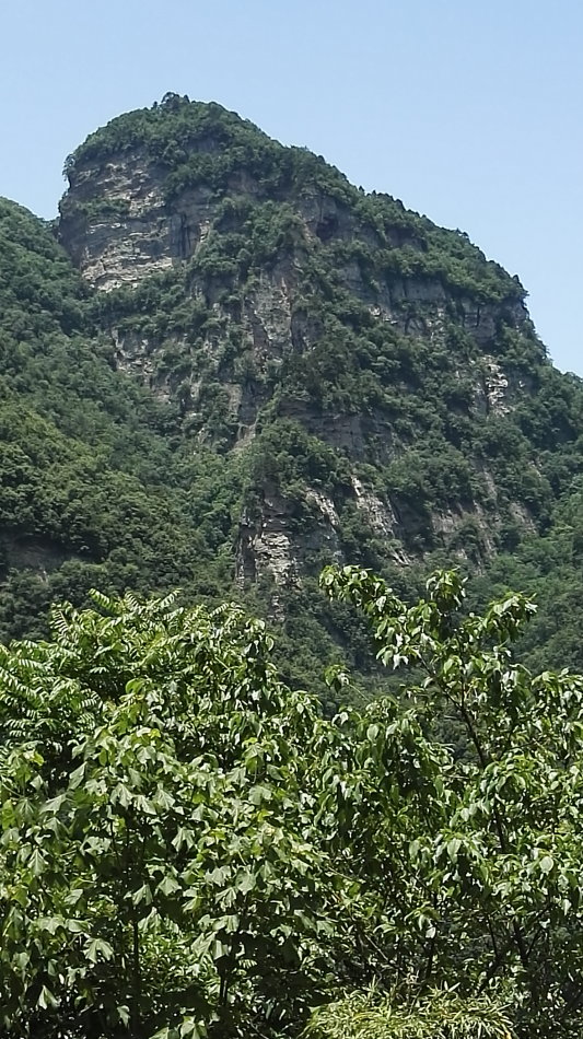 001EFHzpzy73fCURmkGb2