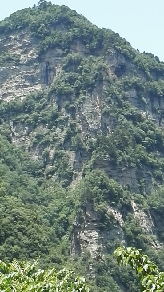 001EFHzpzy73fCVlCAvd7