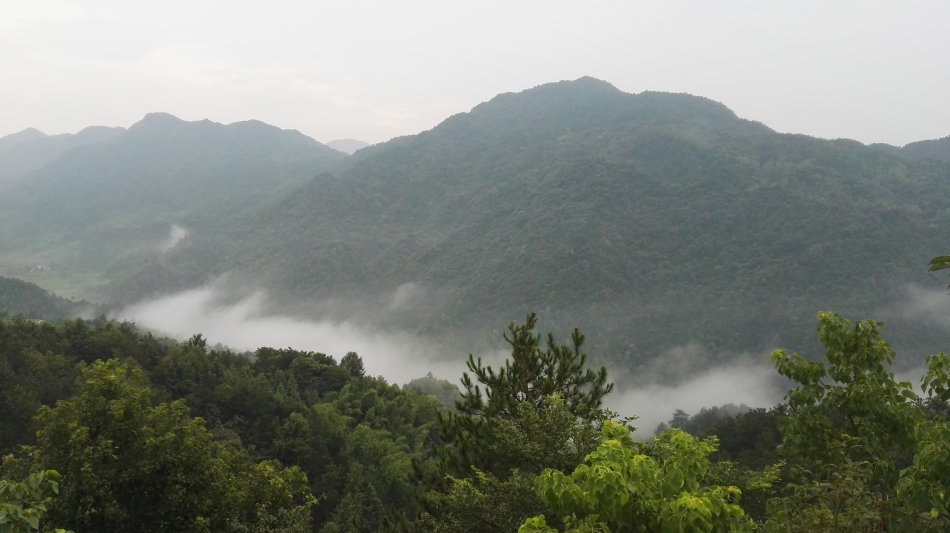 001EFHzpzy73Vik7IP193