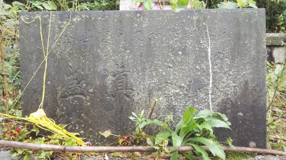 001EFHzpzy73VilvPcDb3