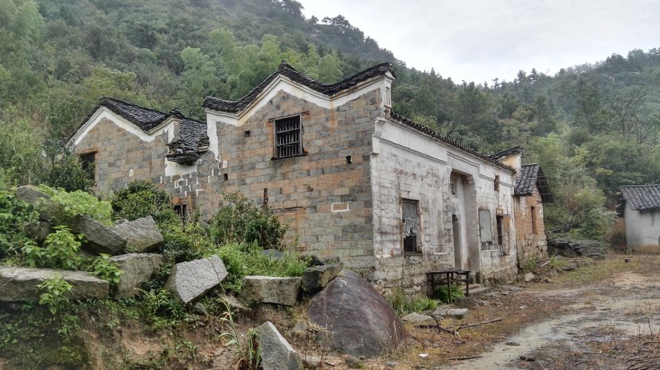 001EFHzpzy73VikZbz987