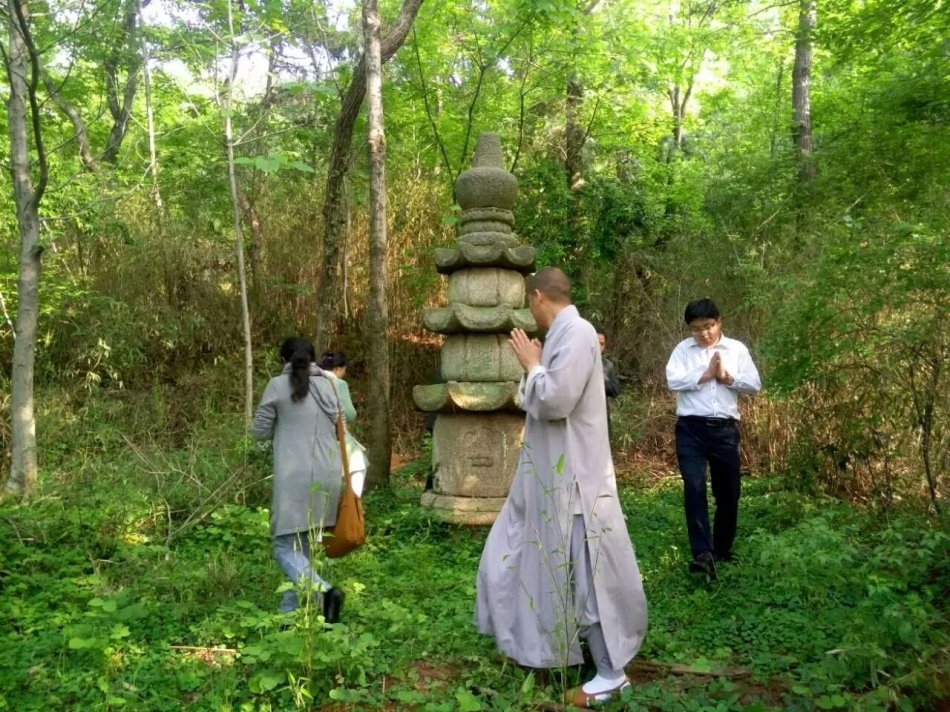 001EFHzpzy73HAIyi0wd8