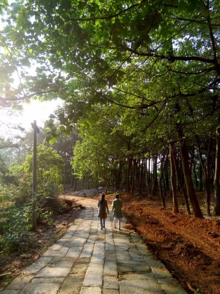 001EFHzpzy73HAIJvdpd3