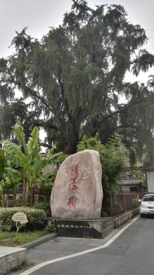 001EFHzpzy74kiPJKJO58