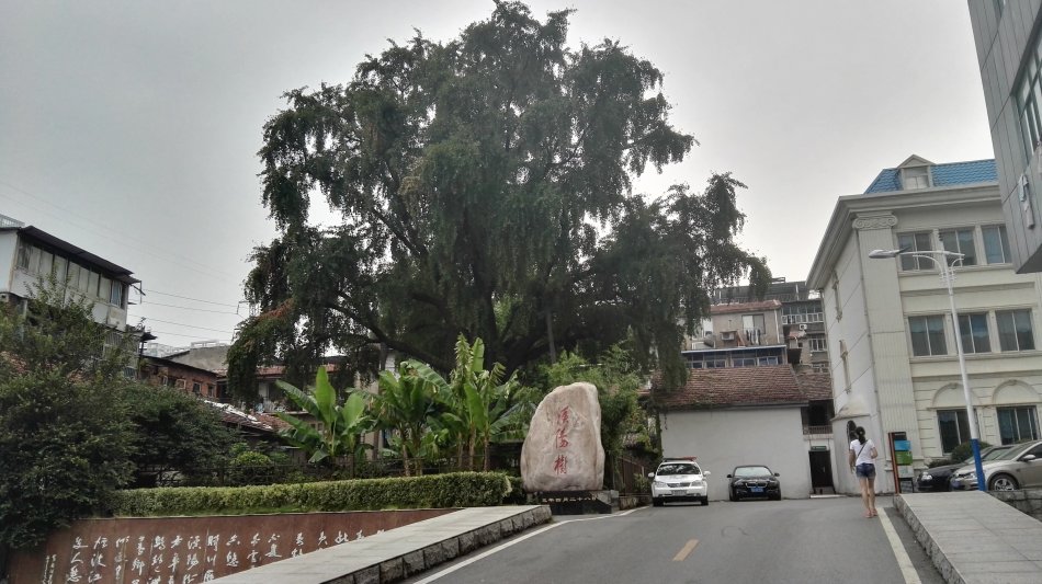 001EFHzpzy74kiQ5BFE82