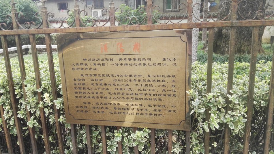 001EFHzpzy74kiQvPgcc0