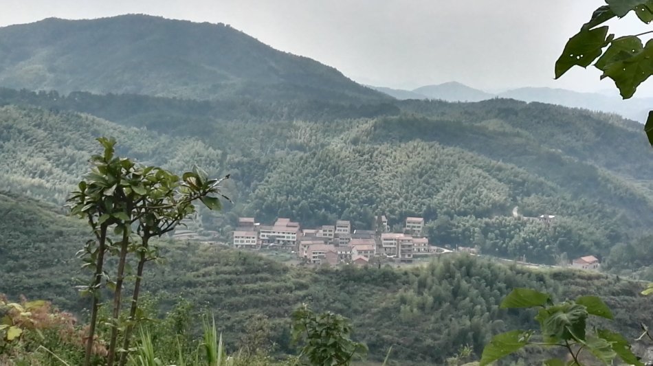 001EFHzpzy75pbXOJQDf3