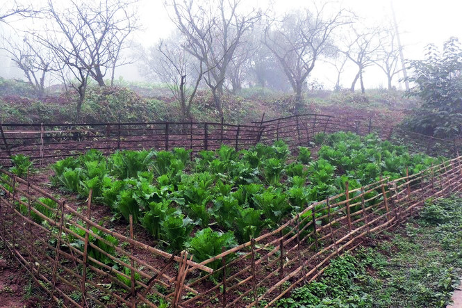 001EFHzpzy75T6gAYJn4d