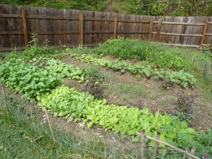 001EFHzpzy75T6gya4d9d