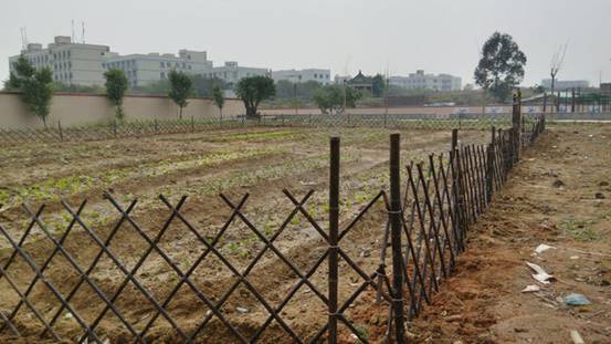 001EFHzpzy75T6guXIf33