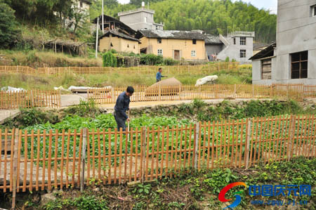 001EFHzpzy75T6gDB8wec