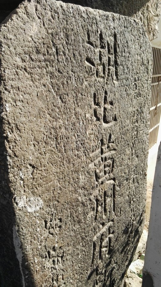 001EFHzpzy772TjWSTKd8