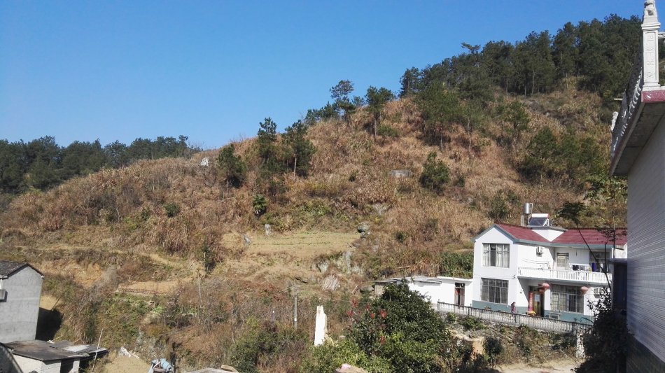 001EFHzpzy772TinBvmb4